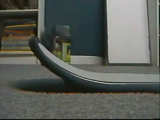 ftdogtail.jpg